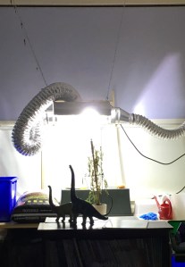 Garden Light Set Up