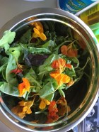 Nasturtiums in a salad