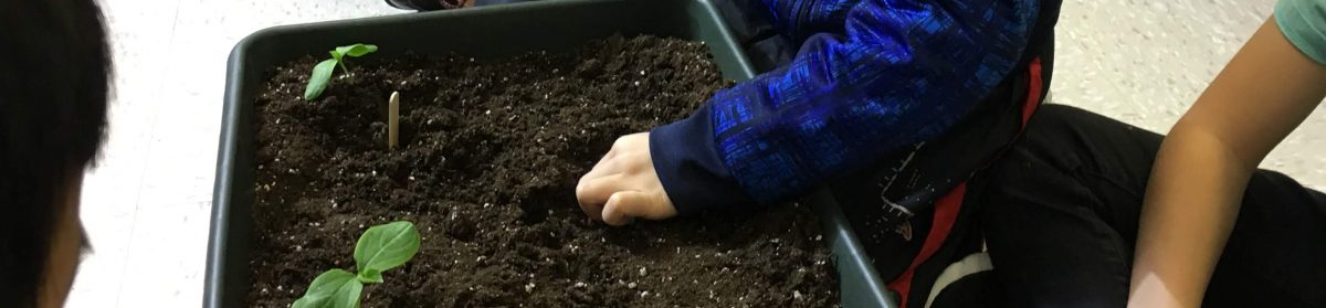 Teaching From the Garden