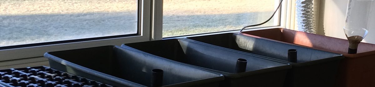 Teaching From the Garden