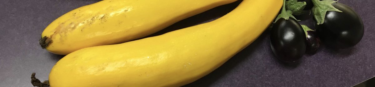 Teaching From the Garden