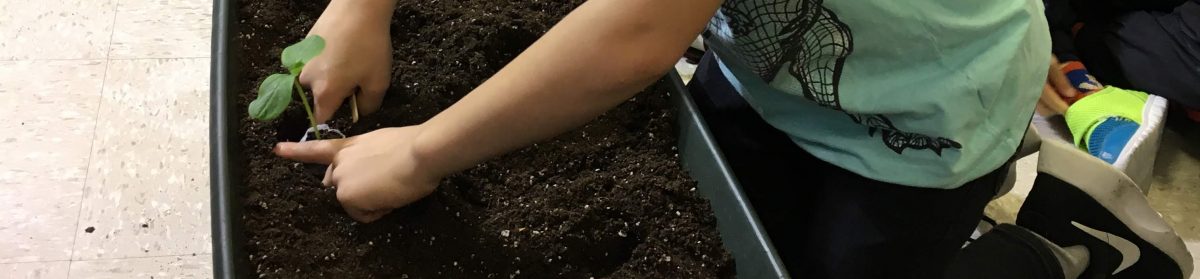 Teaching From the Garden