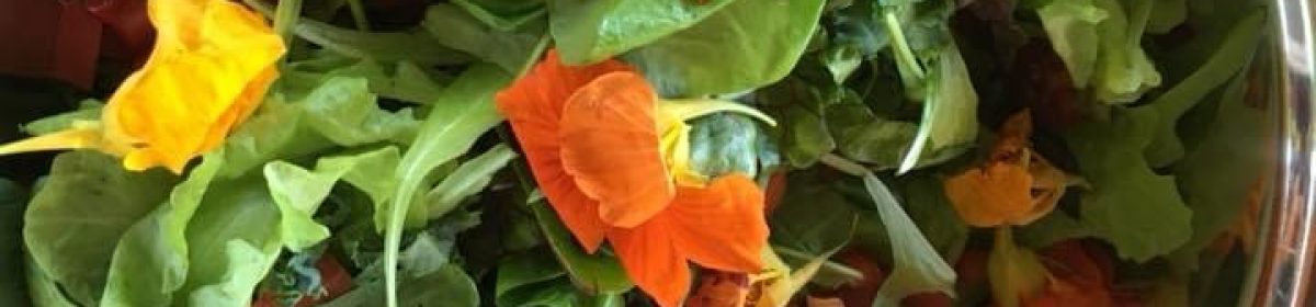 Teaching From the Garden