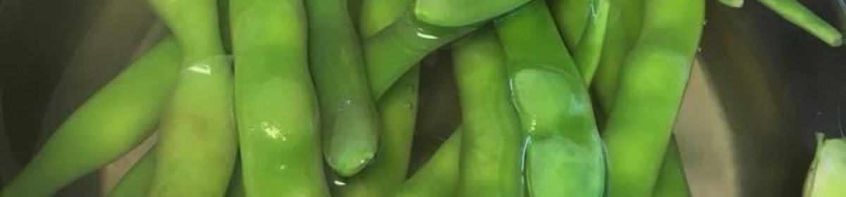 Teaching From the Garden