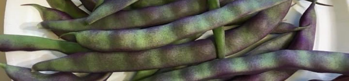 Teaching From the Garden