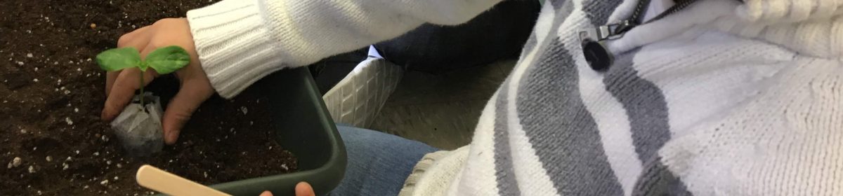 Teaching From the Garden