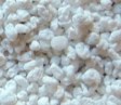 Perlite