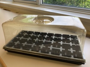 Plastic germination dome