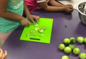 Grade 2 student cutting green tomatoes for salsa