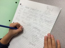 Journal entry of the pumpkin experiment